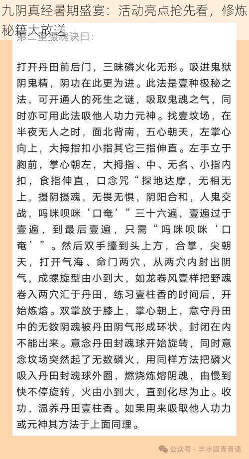 九阴真经暑期盛宴：活动亮点抢先看，修炼秘籍大放送