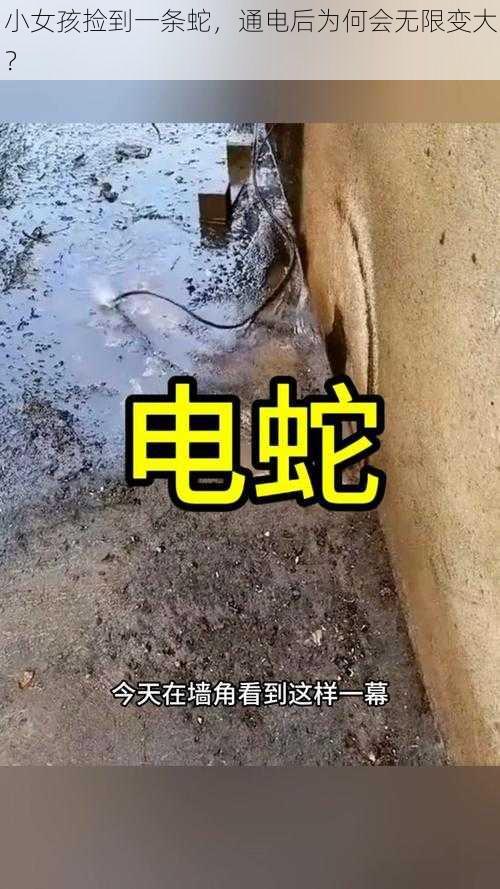 小女孩捡到一条蛇，通电后为何会无限变大？