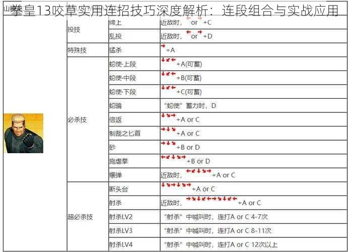 拳皇13咬草实用连招技巧深度解析：连段组合与实战应用