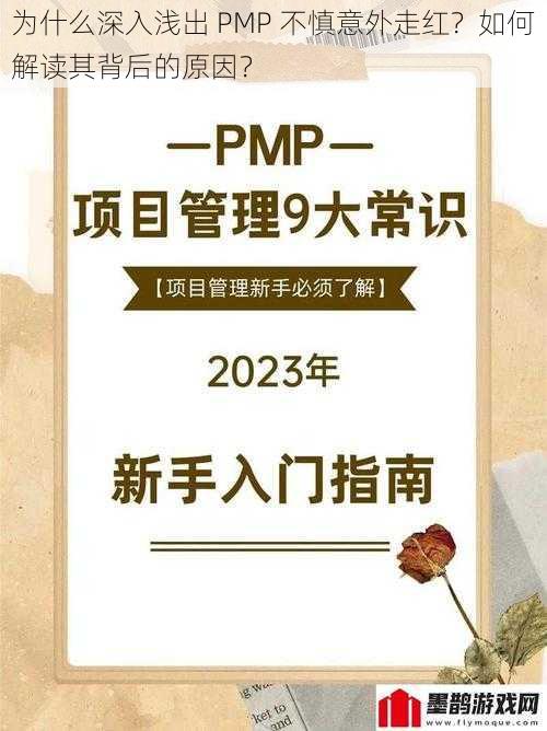 为什么深入浅出 PMP 不慎意外走红？如何解读其背后的原因？