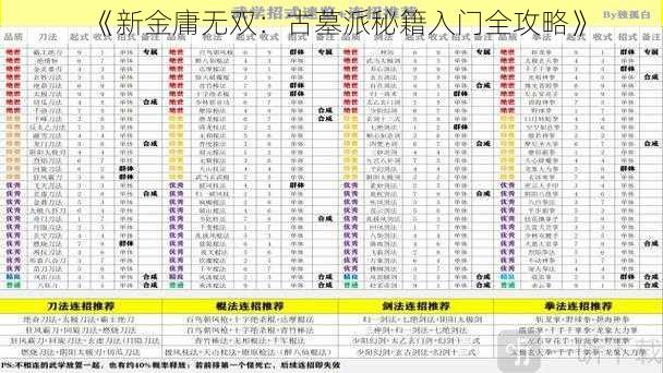 《新金庸无双：古墓派秘籍入门全攻略》