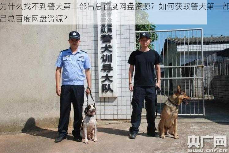 为什么找不到警犬第二部吕总百度网盘资源？如何获取警犬第二部吕总百度网盘资源？