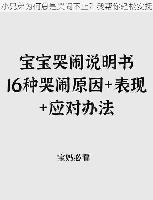 小兄弟为何总是哭闹不止？我帮你轻松安抚