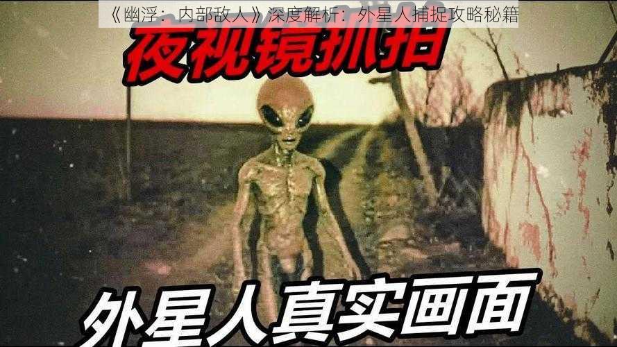 《幽浮：内部敌人》深度解析：外星人捕捉攻略秘籍