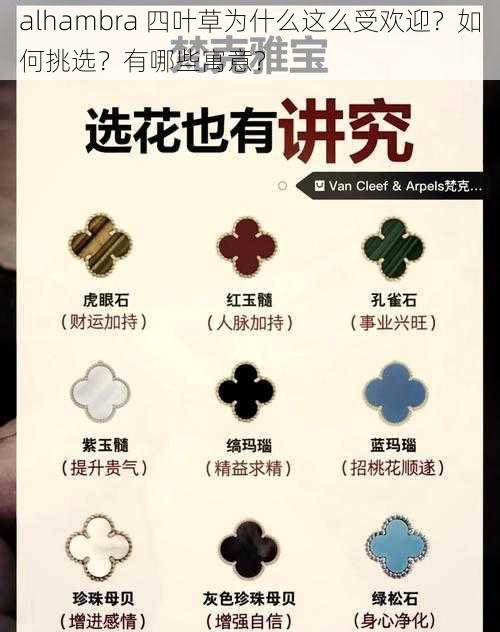 alhambra 四叶草为什么这么受欢迎？如何挑选？有哪些寓意？