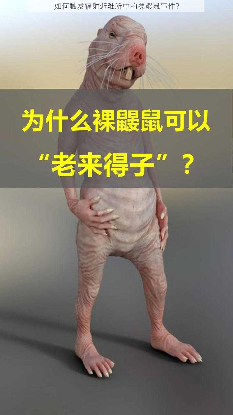 如何触发辐射避难所中的裸鼹鼠事件?