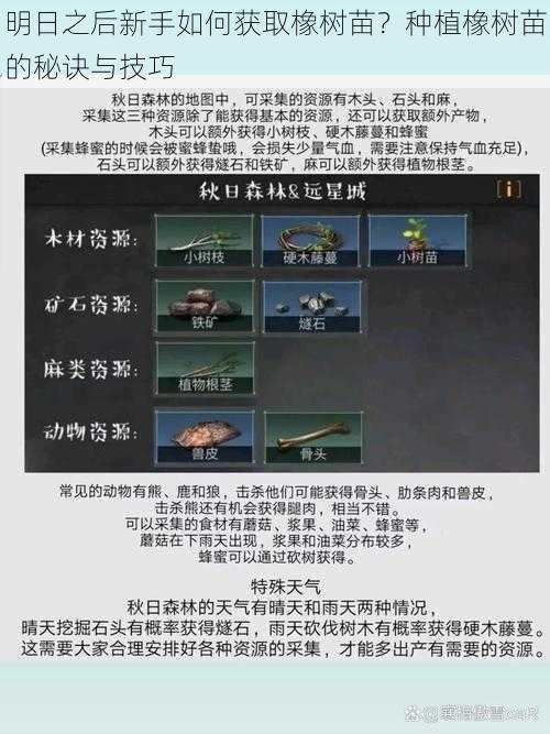 明日之后新手如何获取橡树苗?种植橡树苗的秘诀与技巧