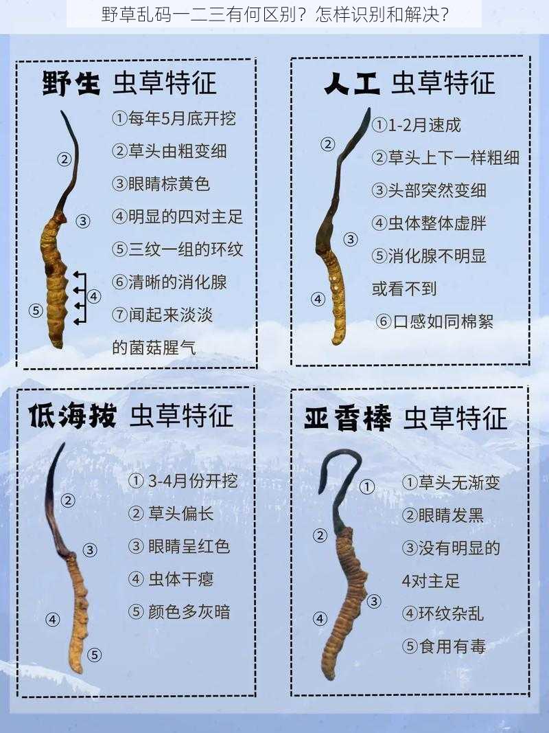 野草乱码一二三有何区别？怎样识别和解决？