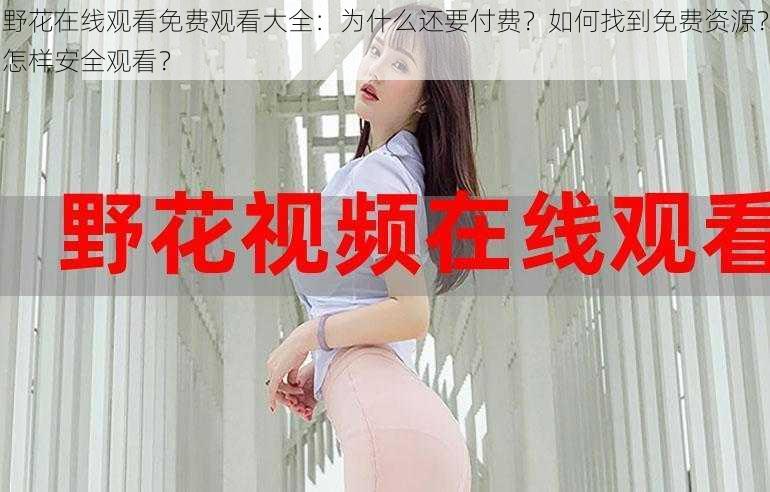 野花在线观看免费观看大全：为什么还要付费？如何找到免费资源？怎样安全观看？