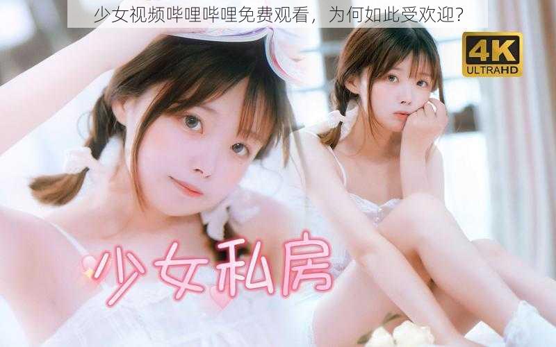 少女视频哔哩哔哩免费观看，为何如此受欢迎？