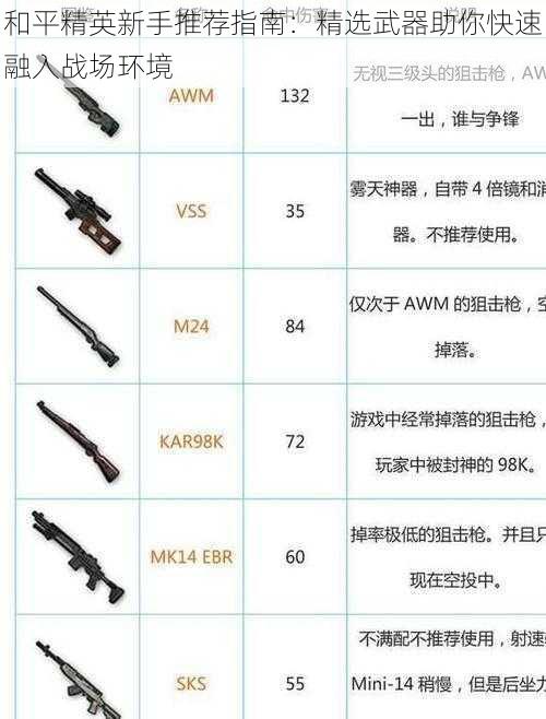 和平精英新手推荐指南：精选武器助你快速融入战场环境