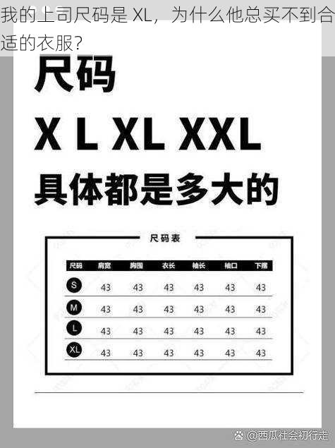 我的上司尺码是 XL，为什么他总买不到合适的衣服？