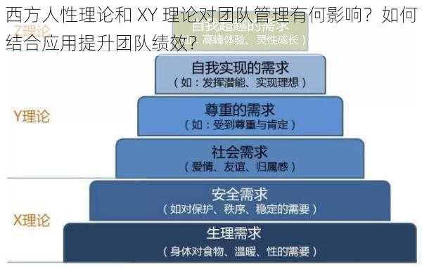 西方人性理论和 XY 理论对团队管理有何影响？如何结合应用提升团队绩效？