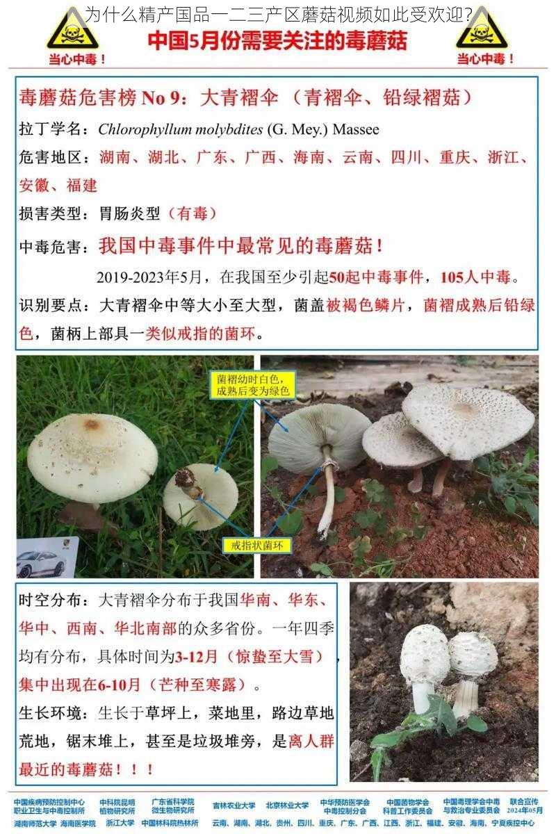 为什么精产国品一二三产区蘑菇视频如此受欢迎？