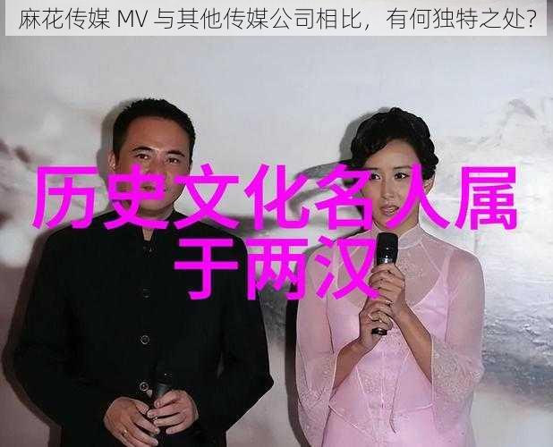 麻花传媒 MV 与其他传媒公司相比，有何独特之处？