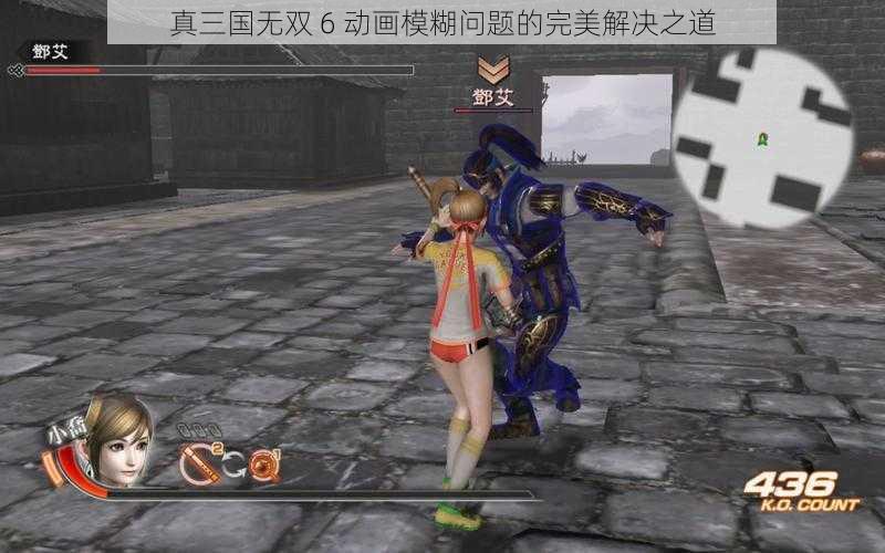 真三国无双 6 动画模糊问题的完美解决之道