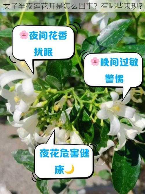 女子半夜莲花开是怎么回事？有哪些表现？