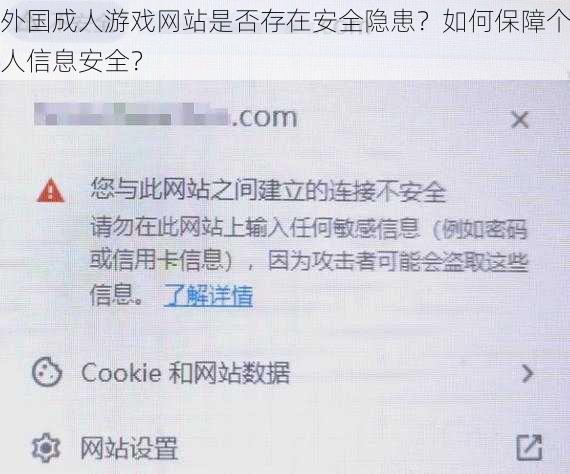 外国成人游戏网站是否存在安全隐患？如何保障个人信息安全？