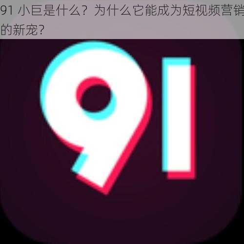 91 小巨是什么？为什么它能成为短视频营销的新宠？