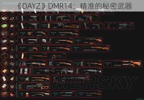 《DAYZ》DMR14：精准的秘密武器