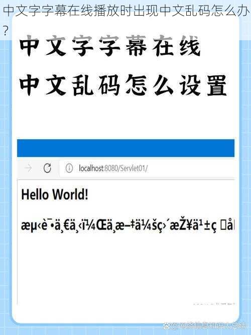 中文字字幕在线播放时出现中文乱码怎么办？