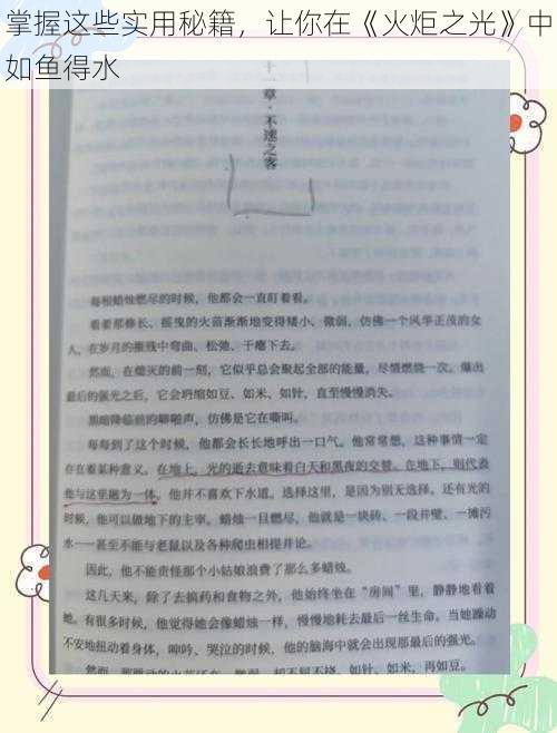 掌握这些实用秘籍，让你在《火炬之光》中如鱼得水