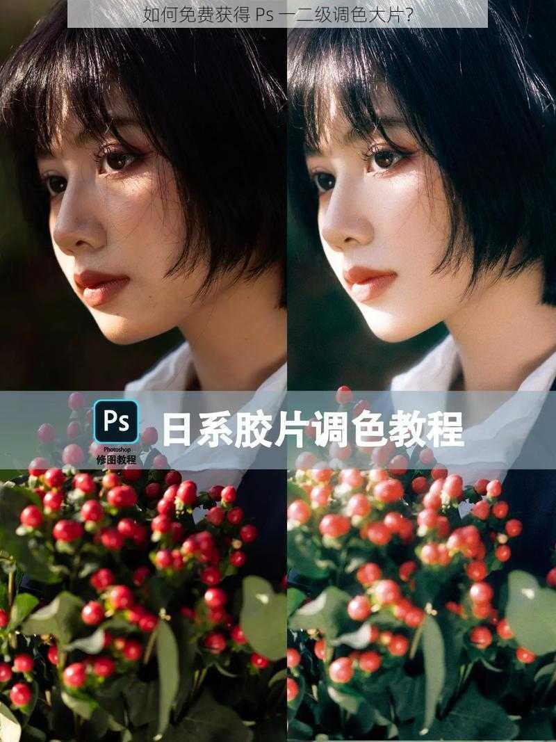 如何免费获得 Ps 一二级调色大片？