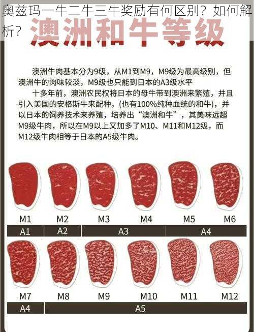 奥兹玛一牛二牛三牛奖励有何区别？如何解析？