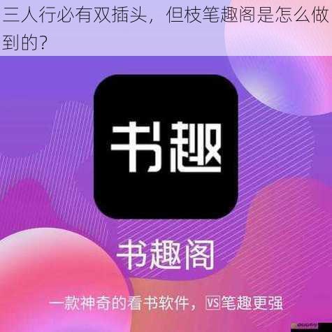 三人行必有双插头，但枝笔趣阁是怎么做到的？
