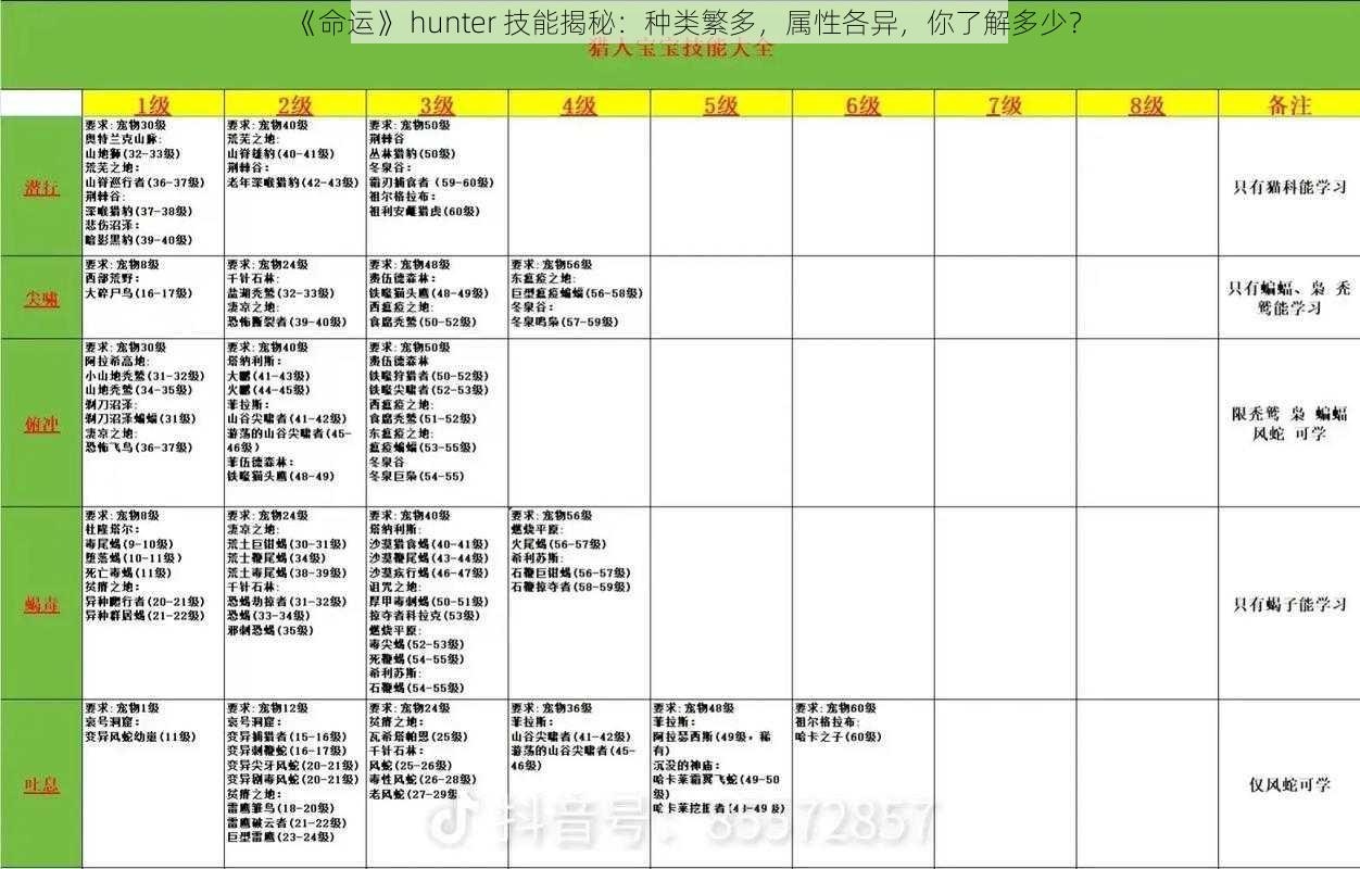 《命运》 hunter 技能揭秘：种类繁多，属性各异，你了解多少？