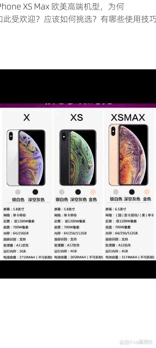 iPhone XS Max 欧美高端机型，为何如此受欢迎？应该如何挑选？有哪些使用技巧？