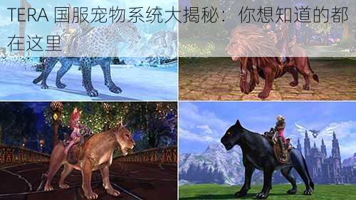 TERA 国服宠物系统大揭秘：你想知道的都在这里