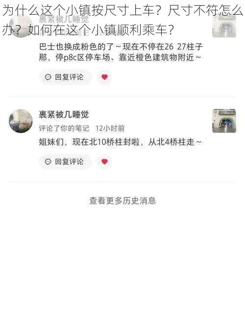 为什么这个小镇按尺寸上车？尺寸不符怎么办？如何在这个小镇顺利乘车？