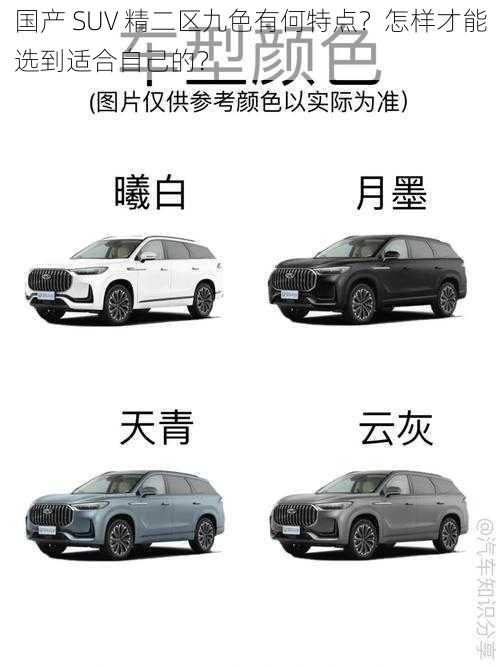 国产 SUV 精二区九色有何特点？怎样才能选到适合自己的？