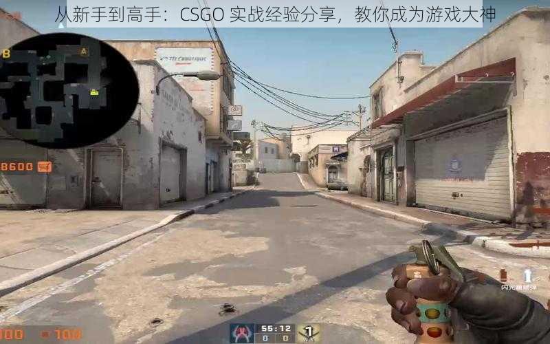 从新手到高手：CSGO 实战经验分享，教你成为游戏大神