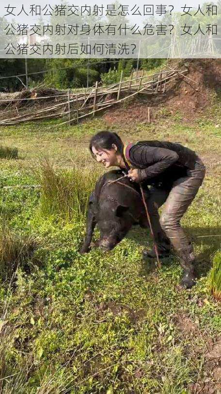 女人和公猪交内射是怎么回事？女人和公猪交内射对身体有什么危害？女人和公猪交内射后如何清洗？