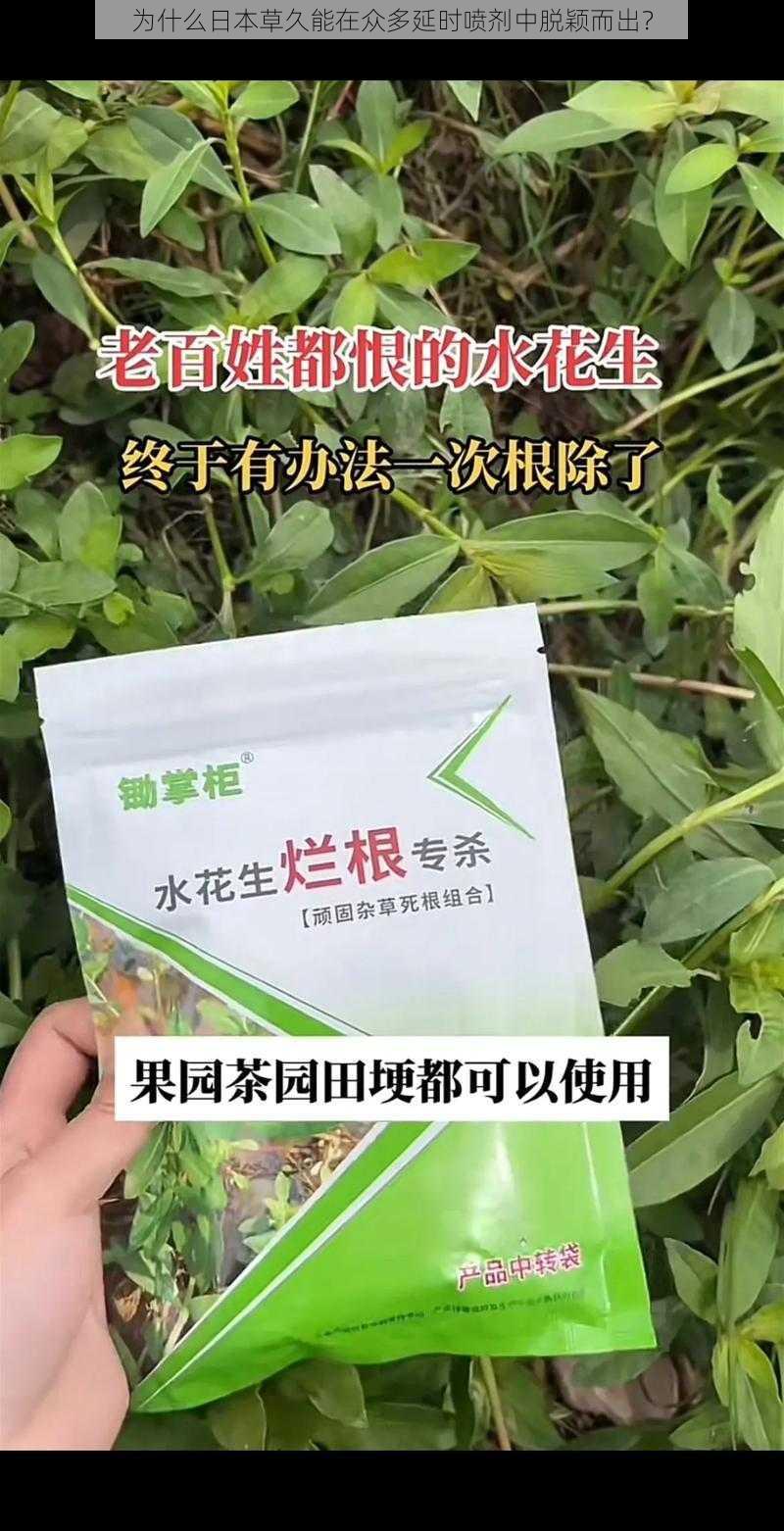 为什么日本草久能在众多延时喷剂中脱颖而出？