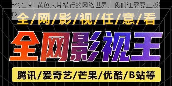 为什么在 91 黄色大片横行的网络世界，我们还需要正版影视资源？