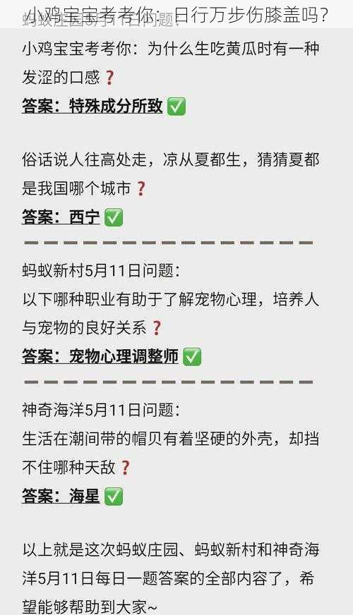 小鸡宝宝考考你：日行万步伤膝盖吗？