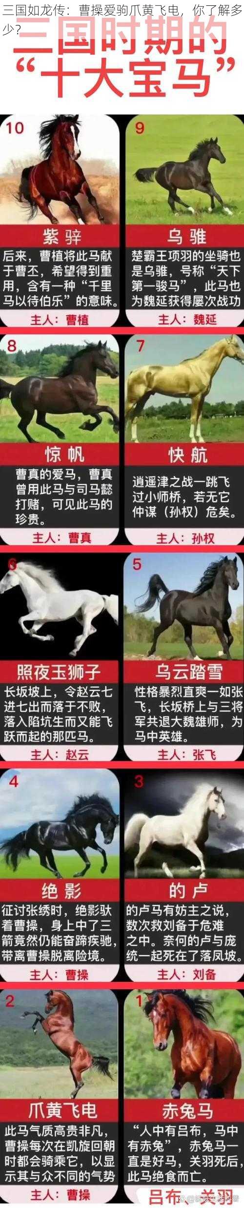 三国如龙传：曹操爱驹爪黄飞电，你了解多少？