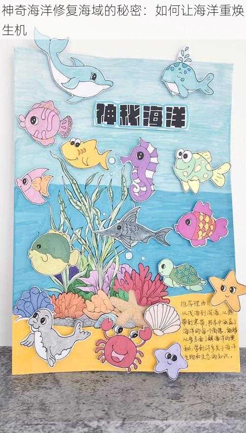 神奇海洋修复海域的秘密：如何让海洋重焕生机